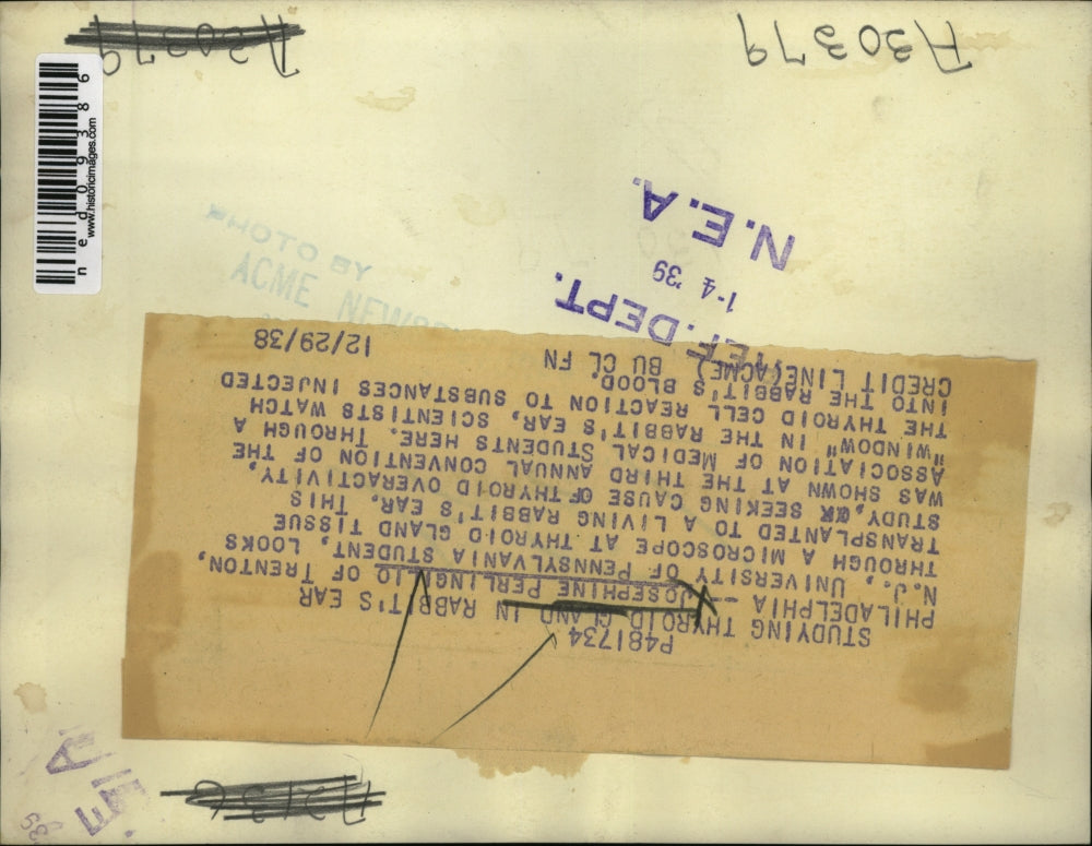 1939 Press Photo J. Perlingilio of Trenton University tries the microscope