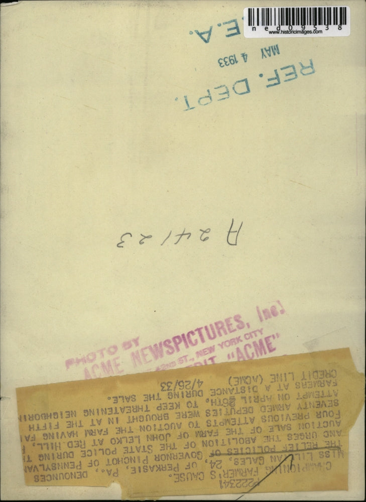 1933 Press Photo Lillian Gales at Auction Sale of John Lelko Farm in Red Hill