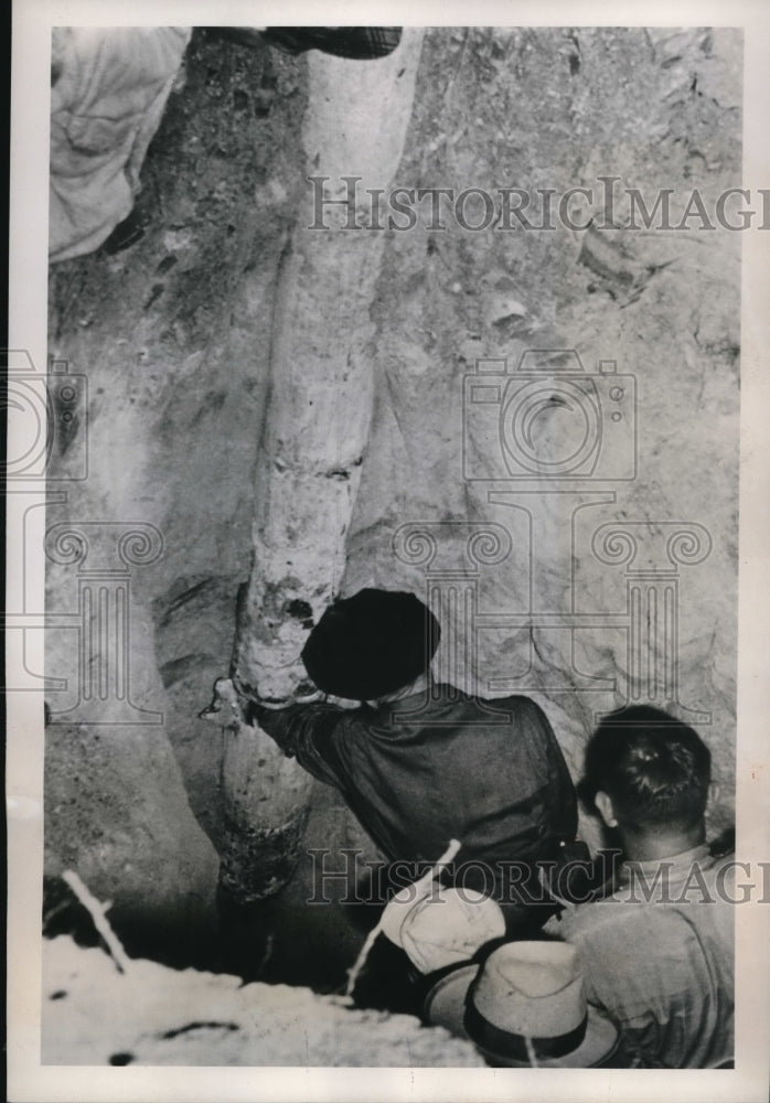 1949 Press Photo Robert Gow alive after five hours in 8-inch diameter well pipe