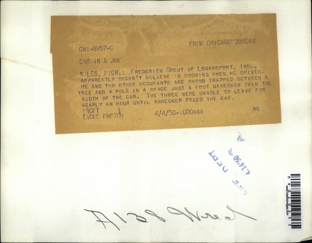 1950 Press Photo Frederick Gruet And Two Others Trapped Between Tree And Pole