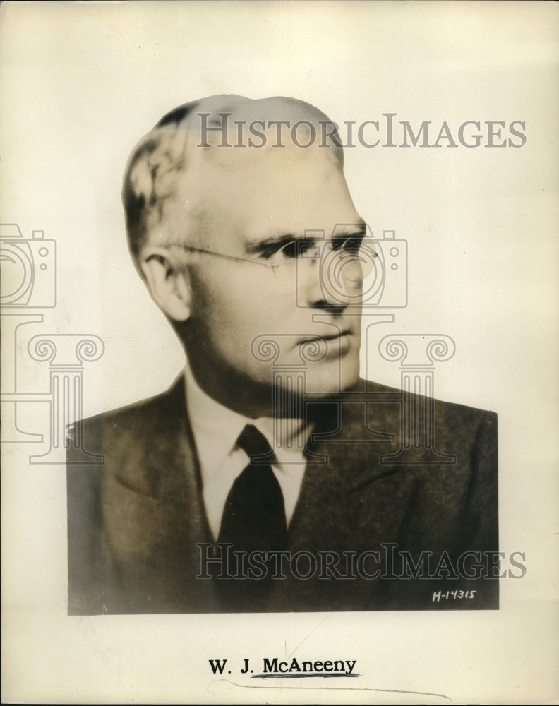 1931 Media Photo Mr WJ McAneeny