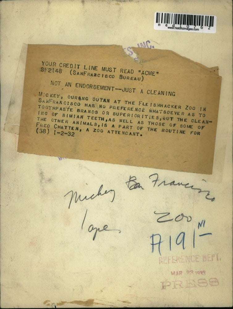 1932 Media Photo Mickey, monkey at the Fleishhacker Zoo, getting teeth cleaned