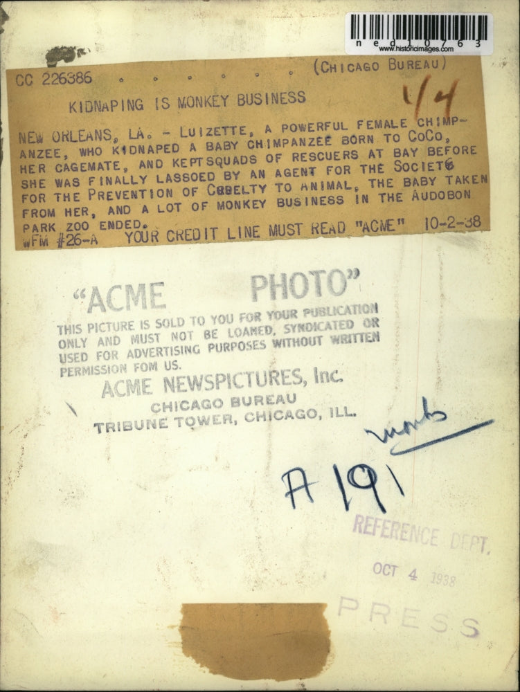 Load image into Gallery viewer, 1938 Media Photo Luizetter, a female chimpanzee, kidnapped her cage mates baby.
