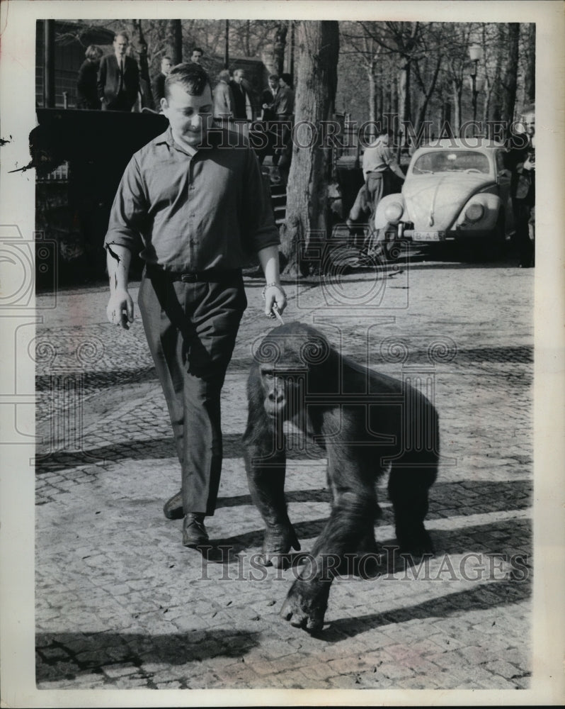 1963 Press Photo Horst Wiebach Walks on the Wild Side with Knorke in West Berlin- Historic Images