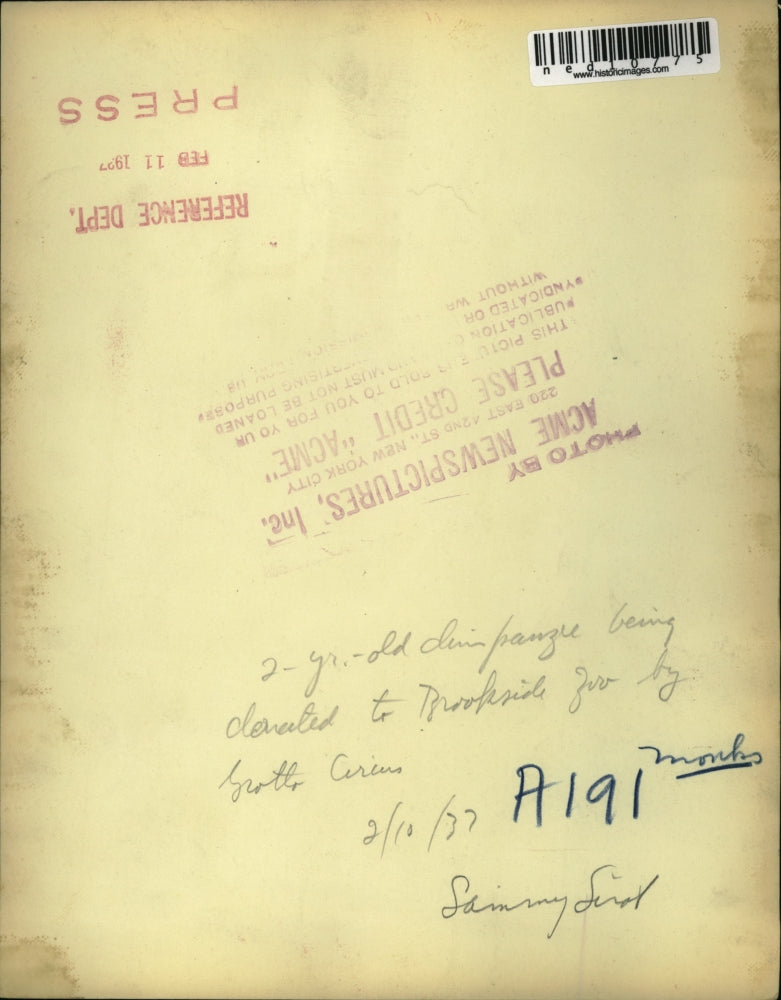 1937 Press Photo Grotto Circus Donates Two-Year Old Chimp to Brookside Zoo