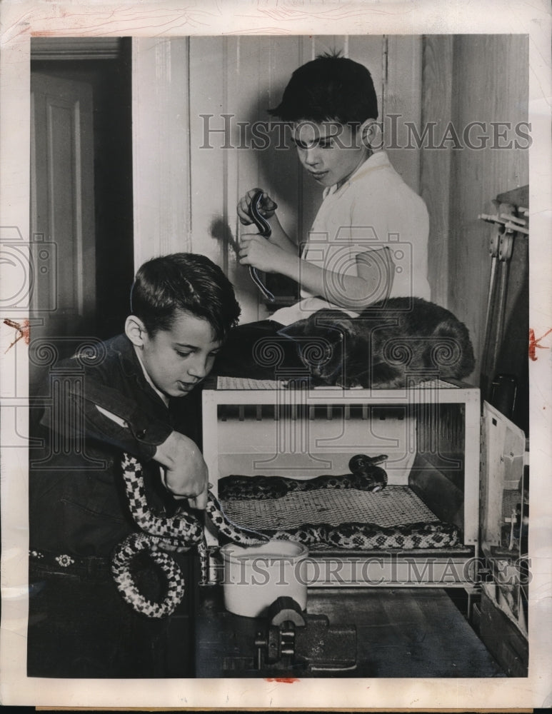 Load image into Gallery viewer, 1949 Media Photo Chicago Mike &amp; Mark Mullin and their many pets, snake, cat
