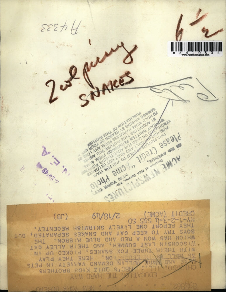 1949 Media Photo Chicago Mike & Mark Mullin and their many pets, snake, cat