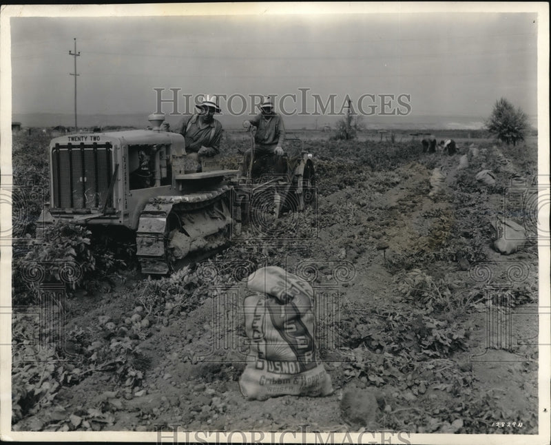 Load image into Gallery viewer, 1936 Media Photo California Harvest Potato Farmers
