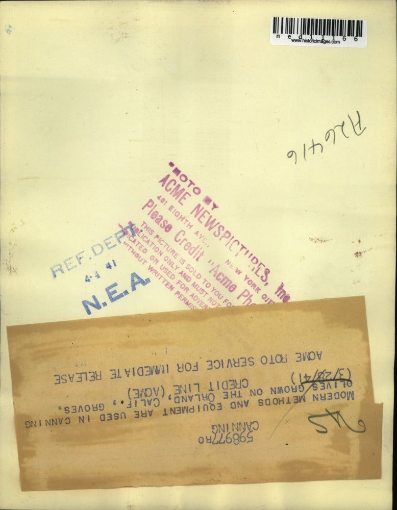 1941 Media Photo Modern Equipment Used To Can Olives Orland California