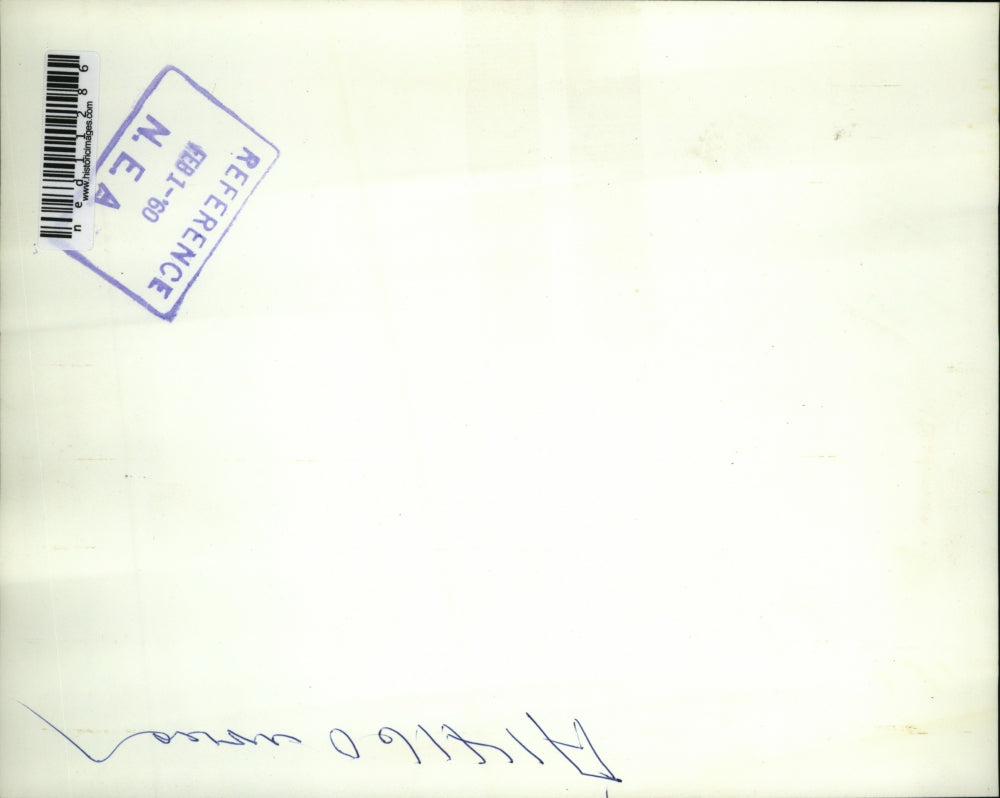 1960 Media Photo Pigs Exploring Area After Jet Crash