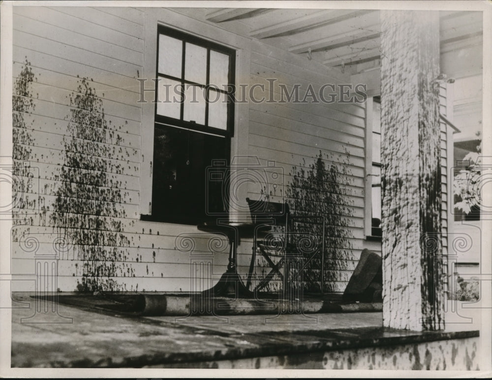 1937 Media Photo Vandalized spattered house in Cleveland Ohio