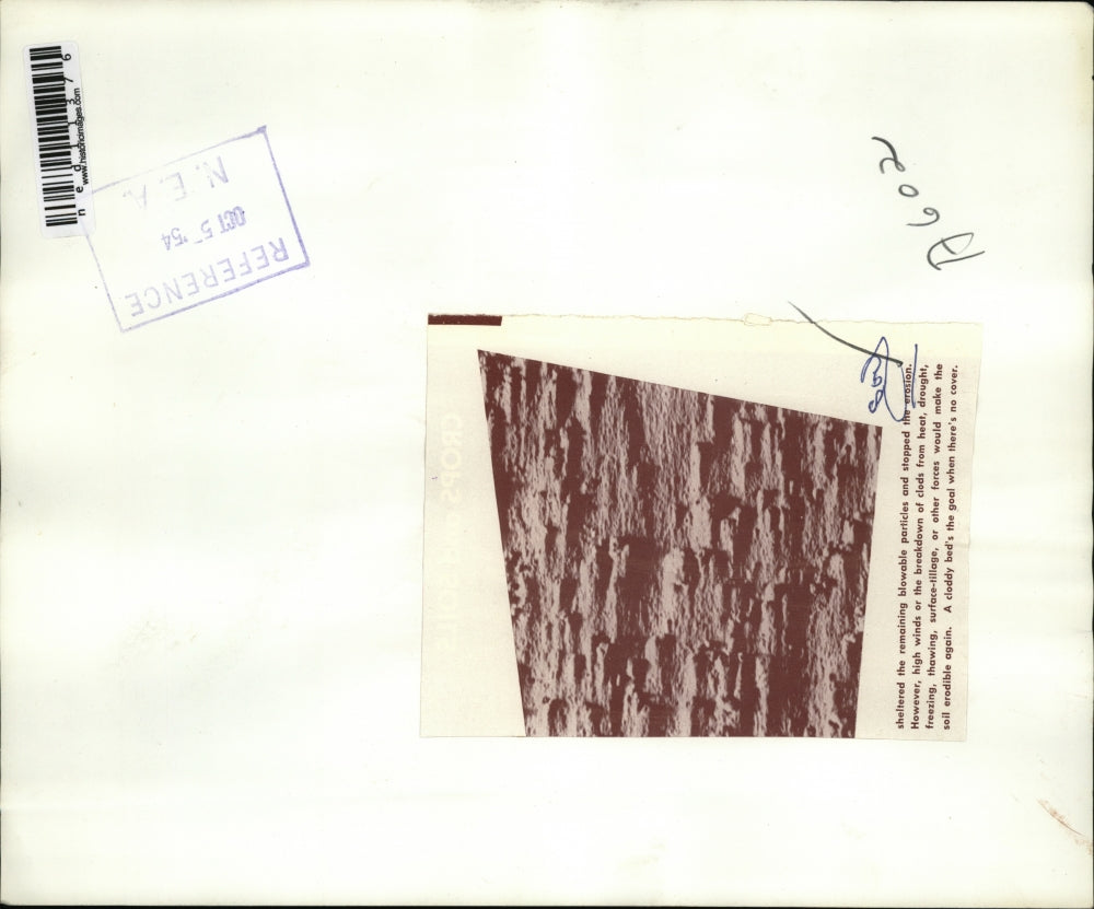 1954 Media Photo soil sheltered from erosion