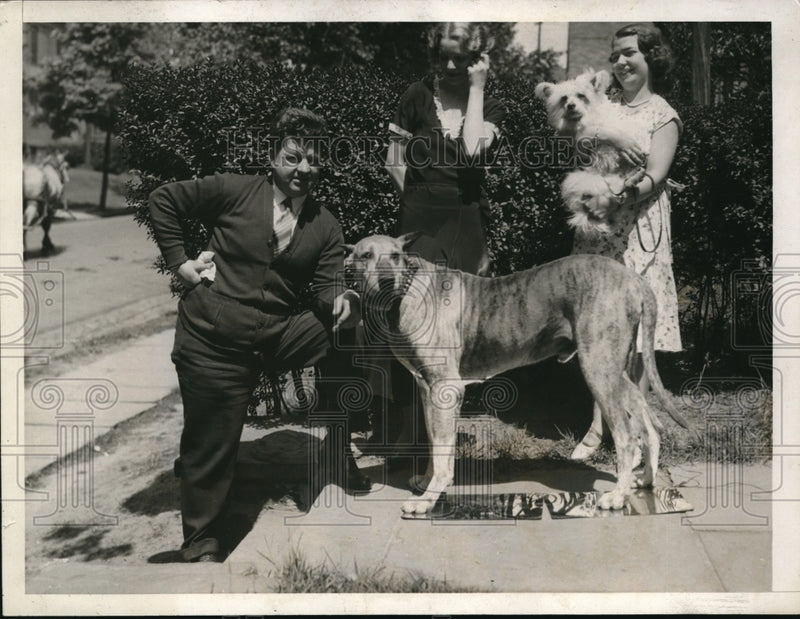 Load image into Gallery viewer, 1932 Media Photo F. Kerk's dog Frederick the Great's collar have signal
