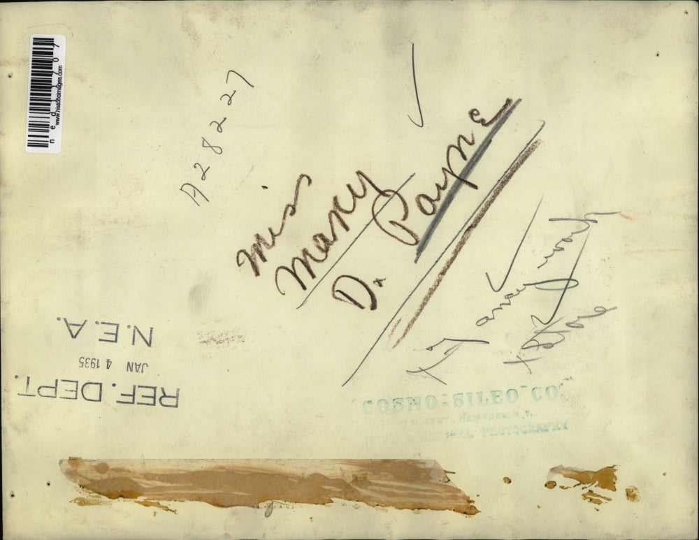 1935 Media Photo Marcy D Payne at Fancy Home Decor Store Lamps Blanket Rug Vase