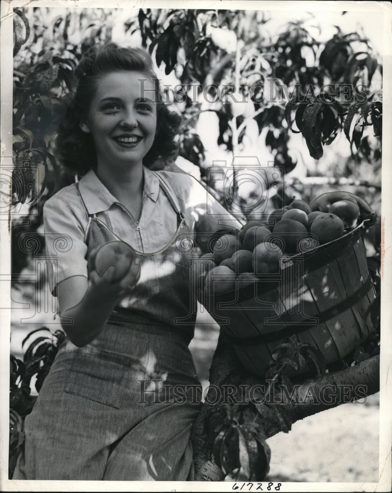 Load image into Gallery viewer, 1941 Media Photo Southhaven Michigan, Lois Muske, Peach Orchard
