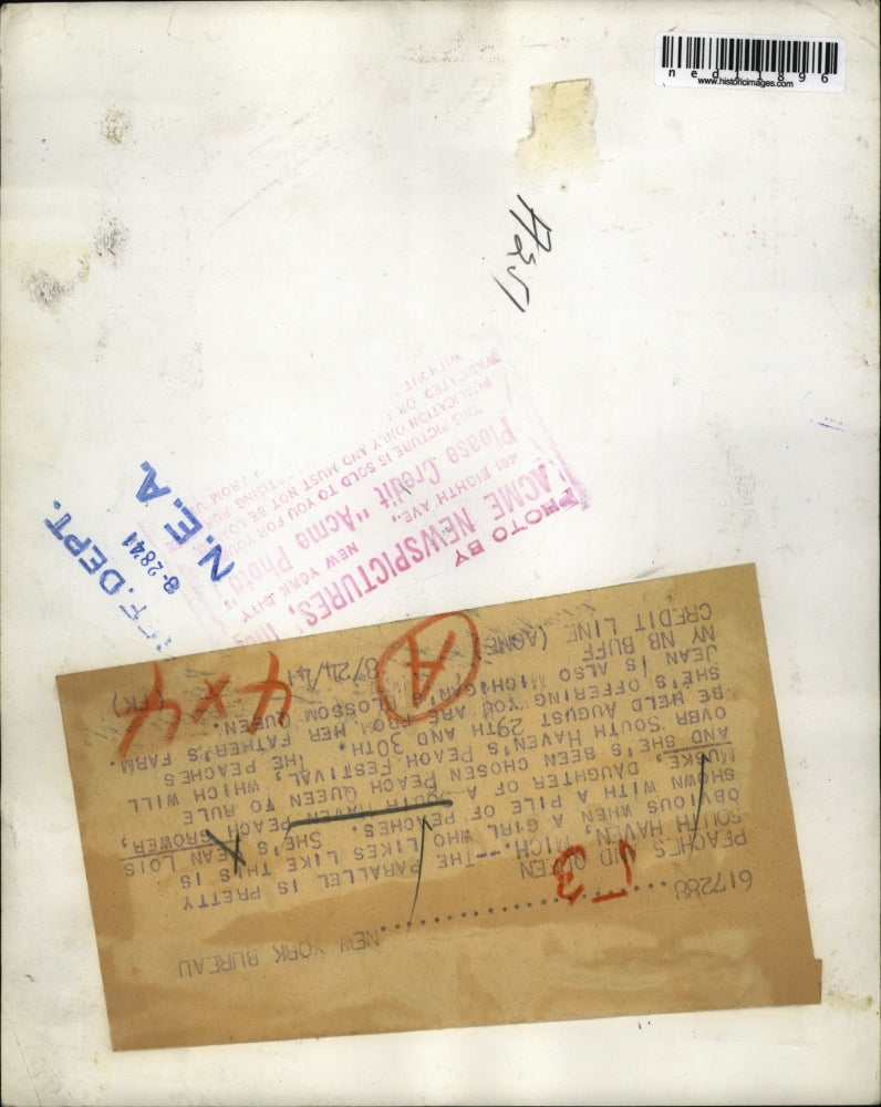 Load image into Gallery viewer, 1941 Media Photo Southhaven Michigan, Lois Muske, Peach Orchard
