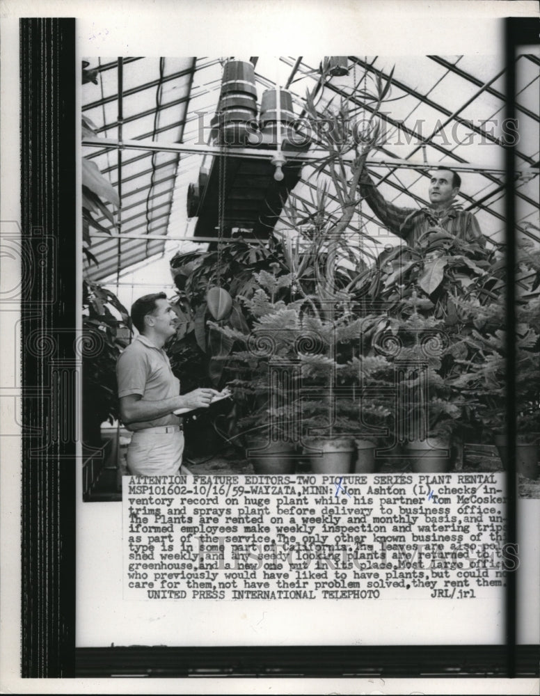 1959 Media Photo Jon Ashton and Tom McCosker Grow Huge Plant