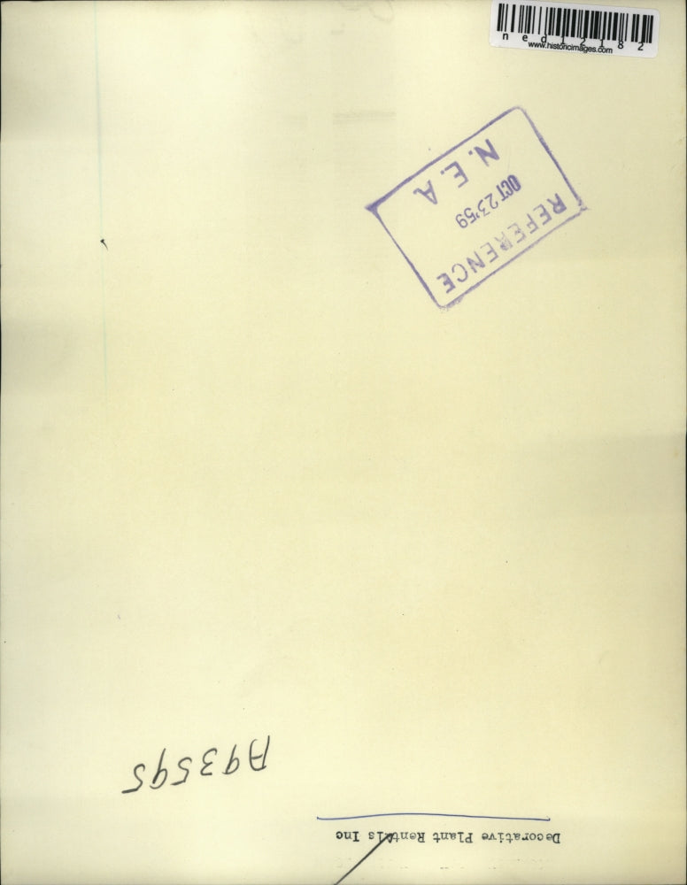 1959 Media Photo Jon Ashton and Tom McCosker Grow Huge Plant