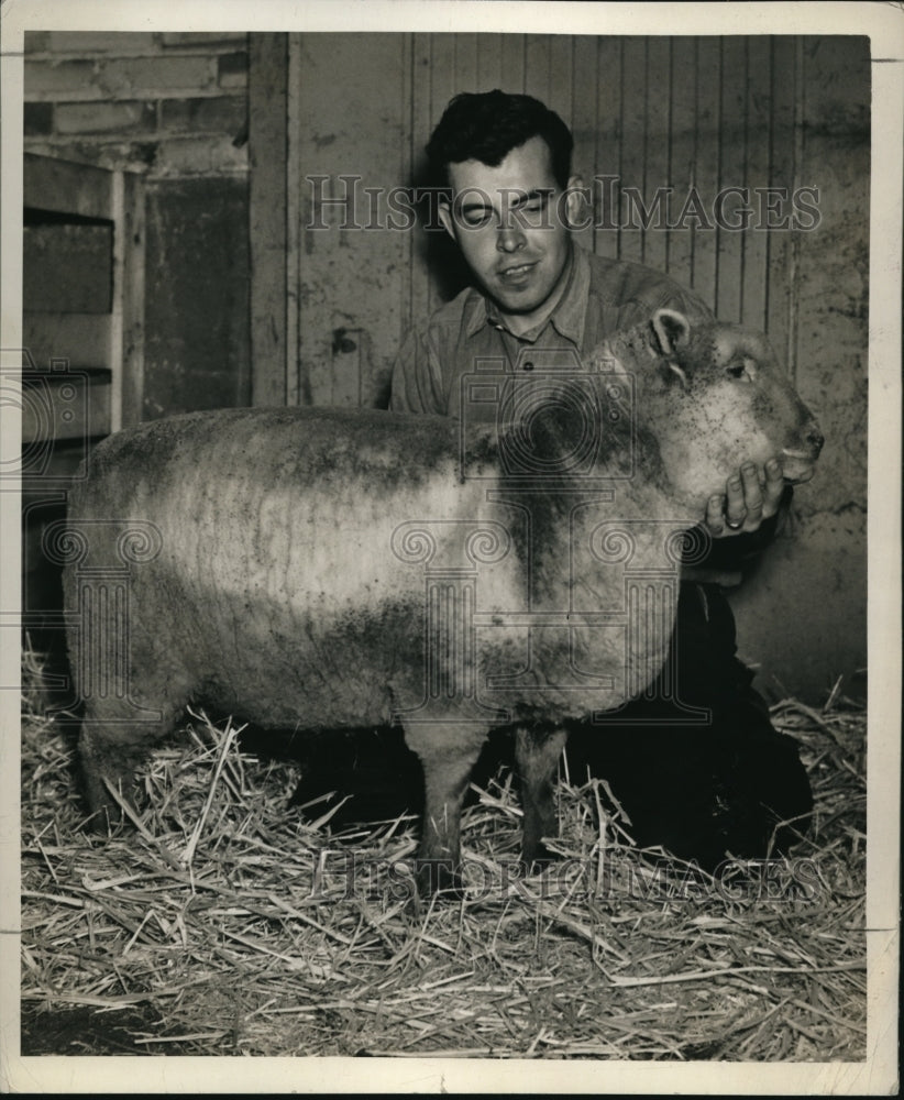 1938 Media Photo Sheep after being clipped