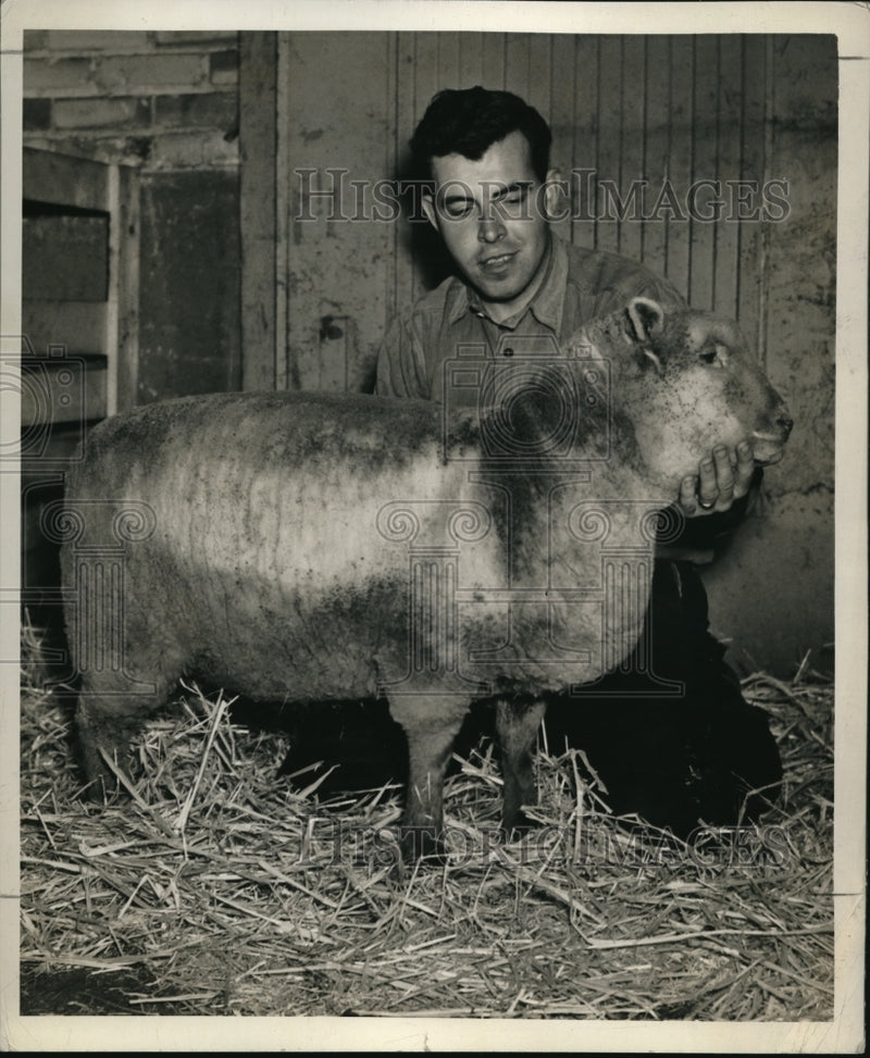 Load image into Gallery viewer, 1938 Media Photo Sheep after being clipped
