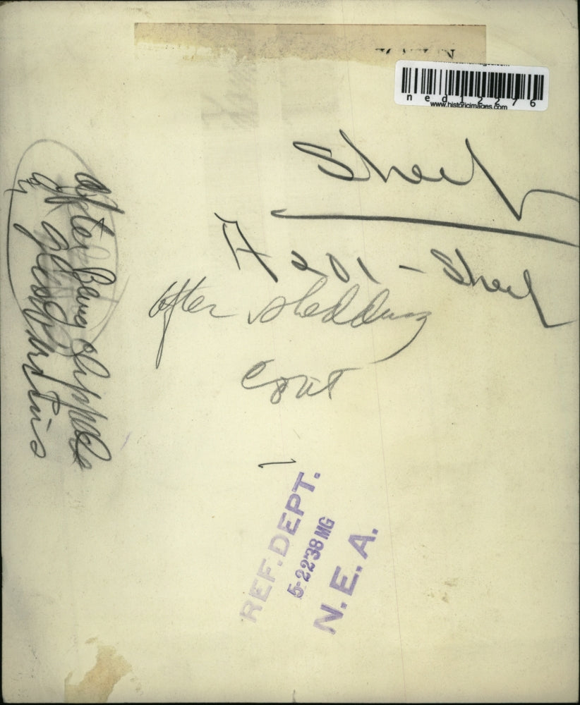 1938 Media Photo Sheep after being clipped