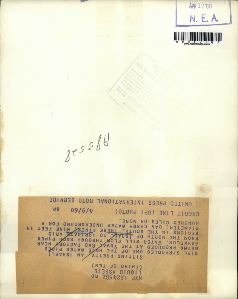 1960 Media Photo Ashkelon Israeli Water Pipes Irrigate South Regions