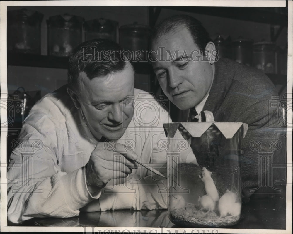 1947 Media Photo Dr. Charles Armstrong, Brooks Mendell Perform Polio Research