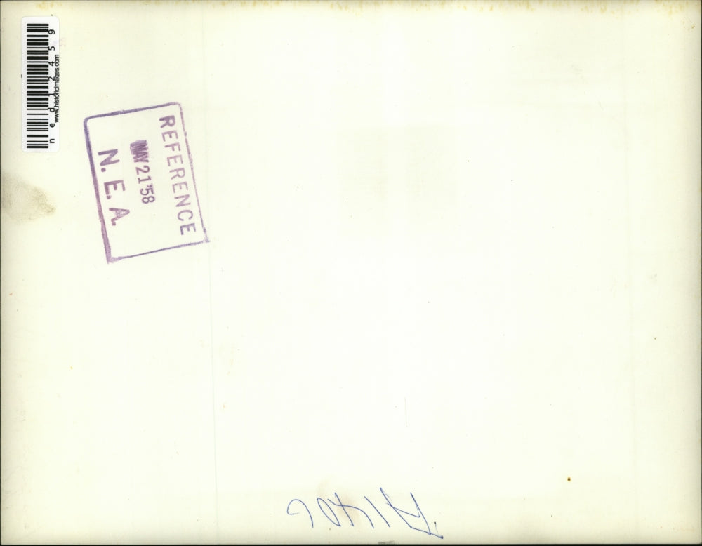 1958 Press Photo crowd with french flag at Jacques Massau speech in Algiers