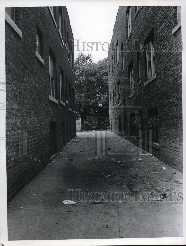 Load image into Gallery viewer, 1966 Media Photo alley and apartment buildings at 650 E. 93rd
