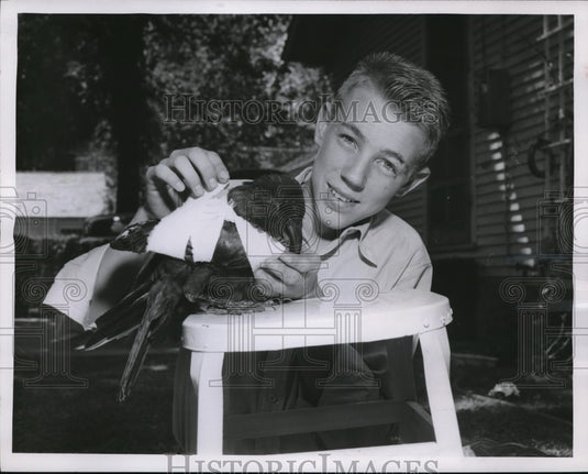 1955 Media Photo Kenneth Tebow & his pet crow Ellsworth
