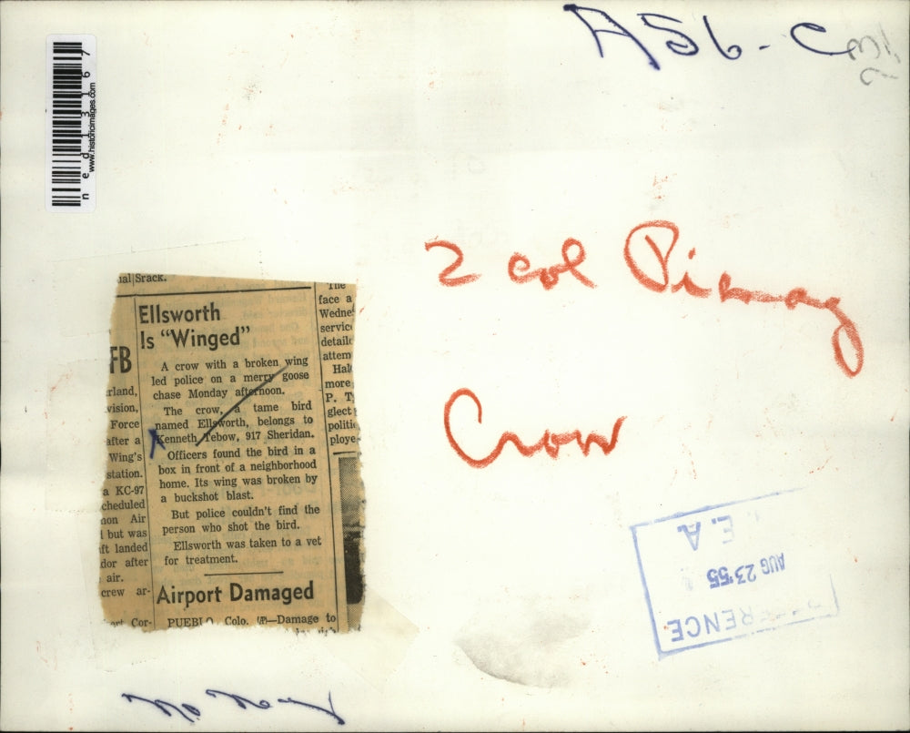 1955 Media Photo Kenneth Tebow & his pet crow Ellsworth