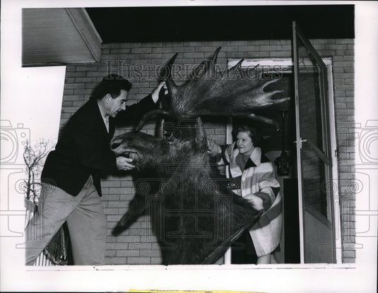 1963 Media Photo Jerry Tricom & Wife Lorine Attempt to Carry In Prize Moose Head