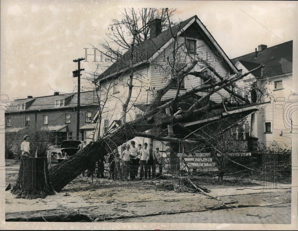 1960 Press Photo Home of Joseph Compolo where a tree has fallen on it.