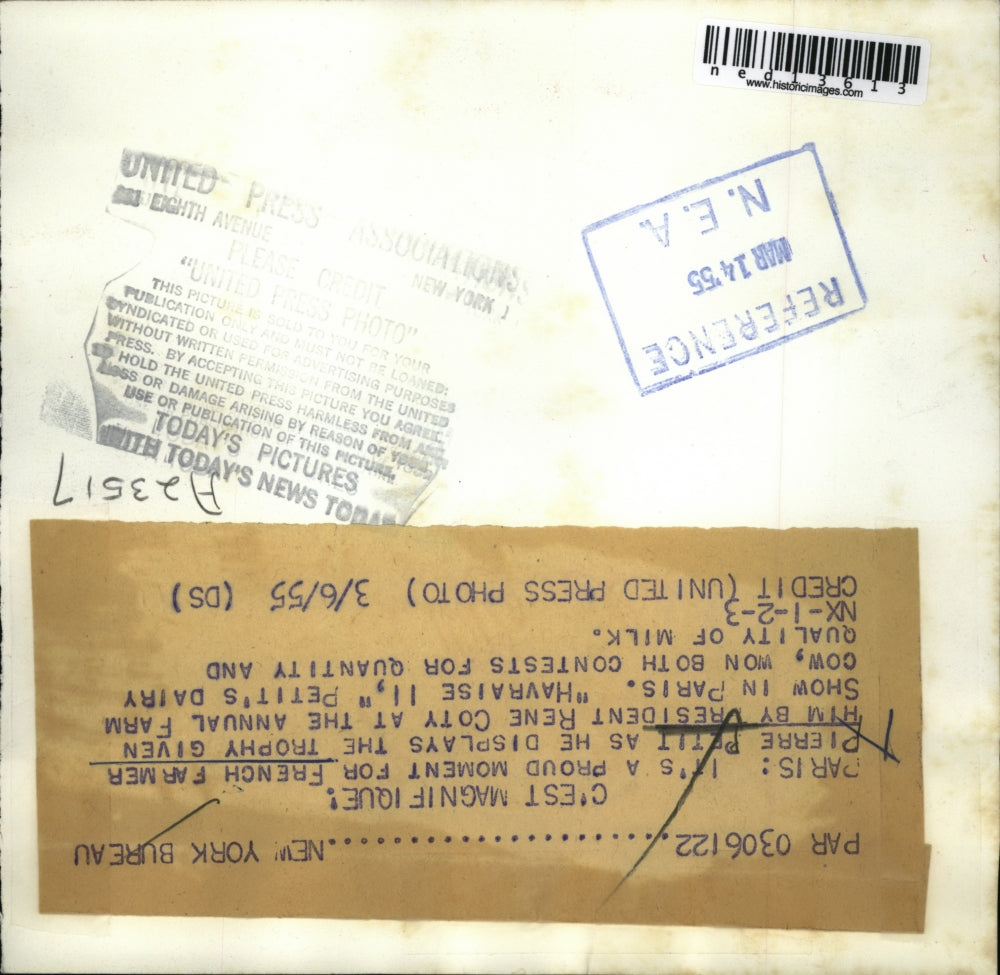 1955 Media Photo French Farmer Pierre Petit displays trophy