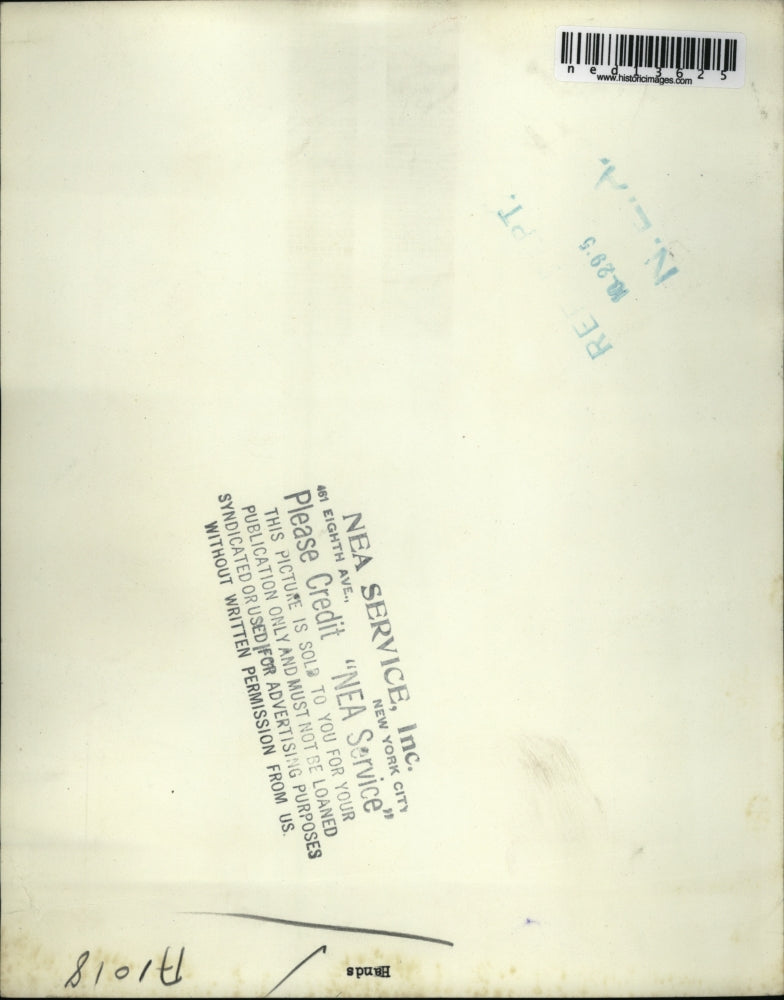 1950 Media Photo Hand model