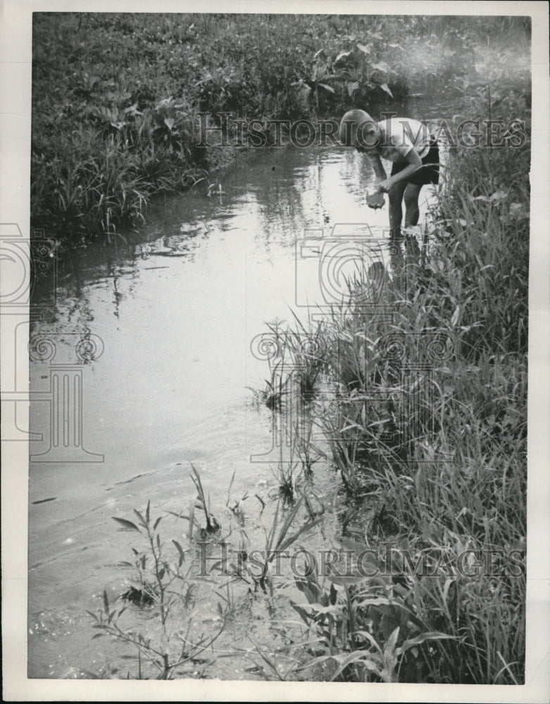 1961 Media Photo 5 Year-Old Ronnie Christie Searches Stream Rain Runoff Ditch