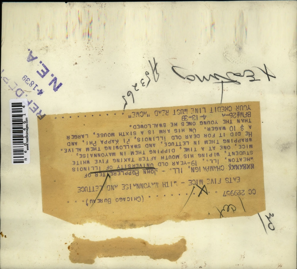 1939 Media Photo Eats five mice with mayonnaise and lettuce