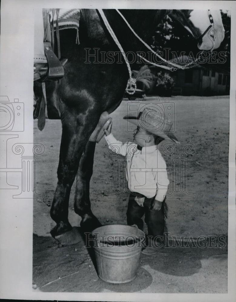 Load image into Gallery viewer, 1962 Media Photo Joe Phillips, 2, brushing a horse before the California Rodeo
