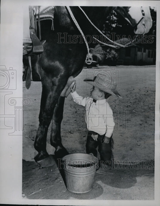 1962 Media Photo Joe Phillips, 2, brushing a horse before the California Rodeo