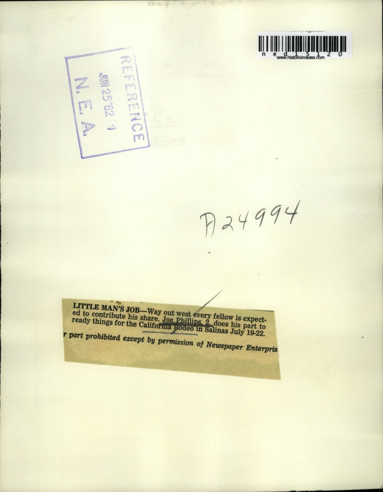 1962 Media Photo Joe Phillips, 2, brushing a horse before the California Rodeo