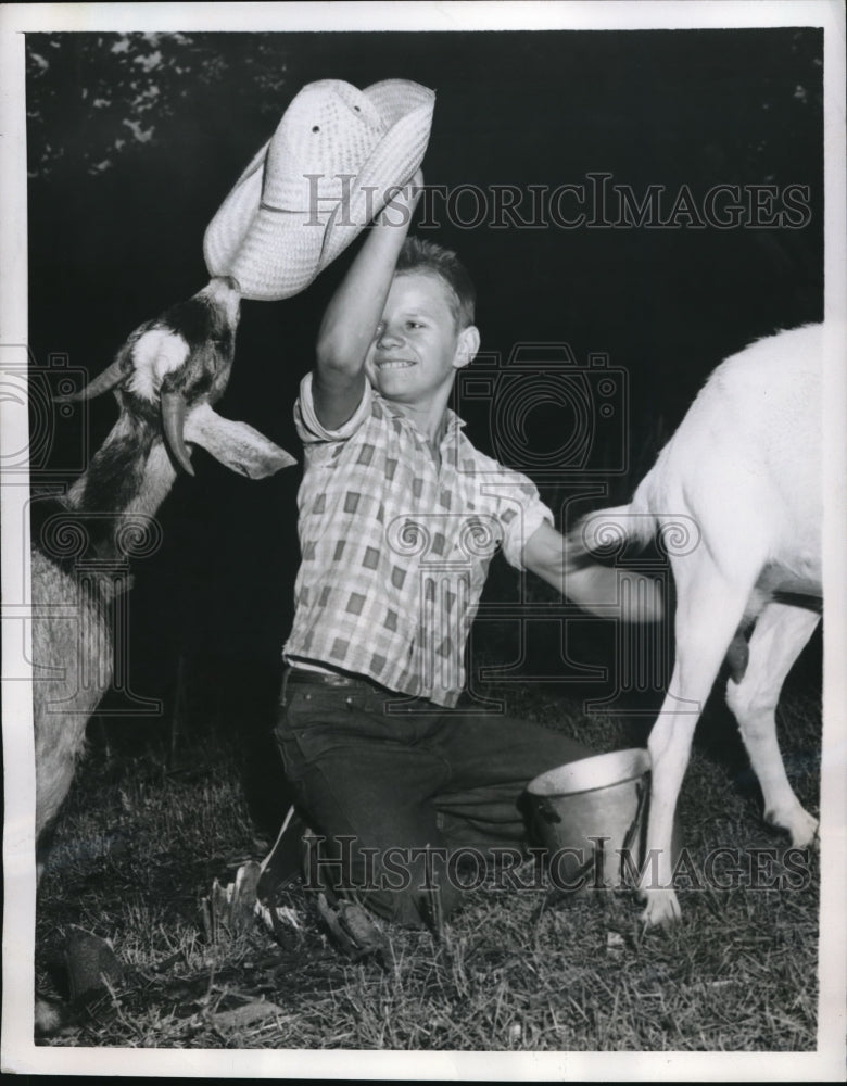Load image into Gallery viewer, 1957 Media Photo Burton Potter Milks Goat While Trying To Save Hat
