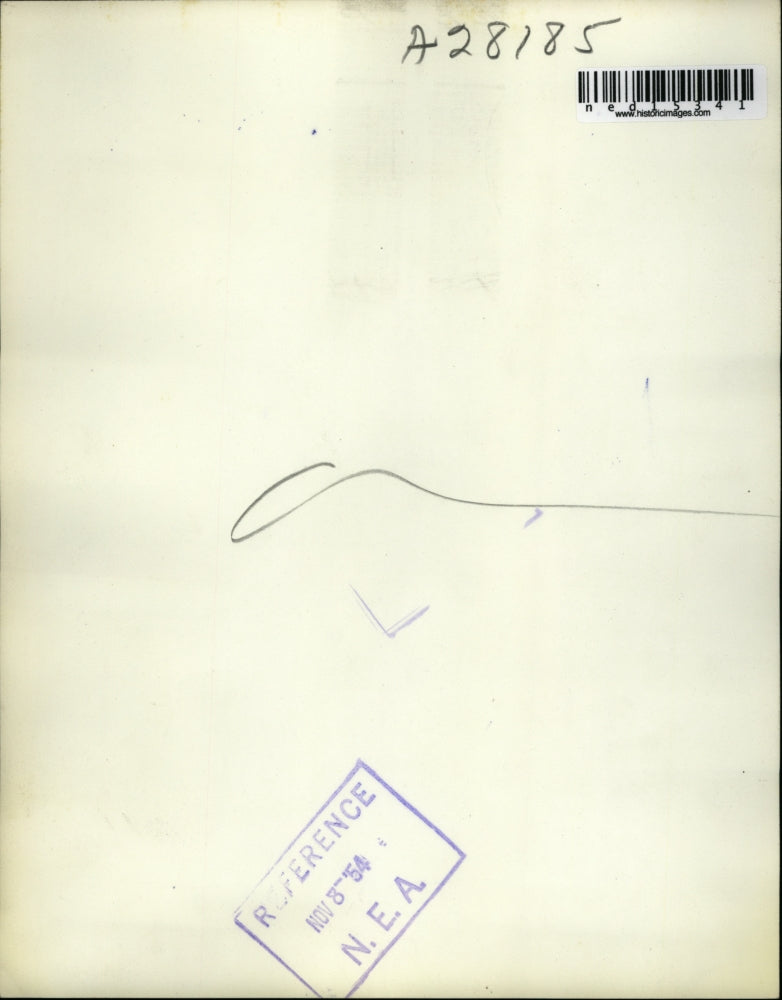 1954 Media Photo Dallas Lilly Dache designer tries one creation on reporter Joe