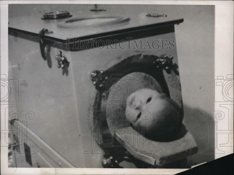 Load image into Gallery viewer, 1938 Press Photo Raymond Alexander, Jr., appeared to be stillborn, but is not.
