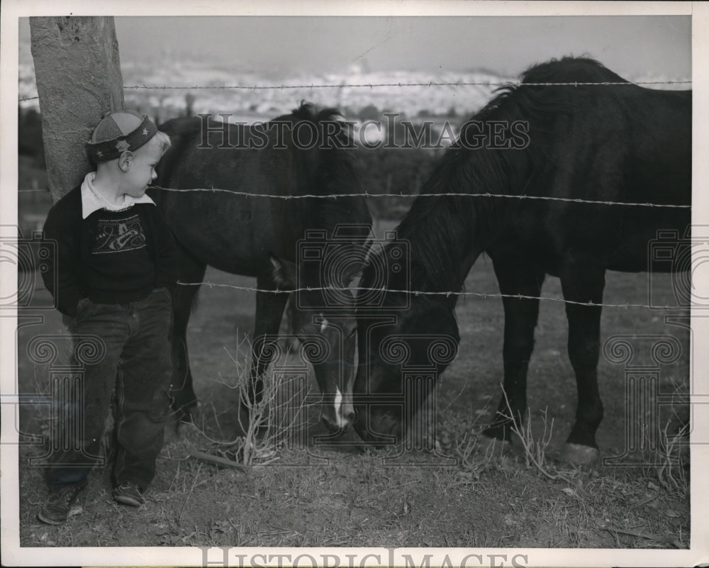 1951 Media Photo Johnny Mikulin watches a filly and her stallion enjoy weather