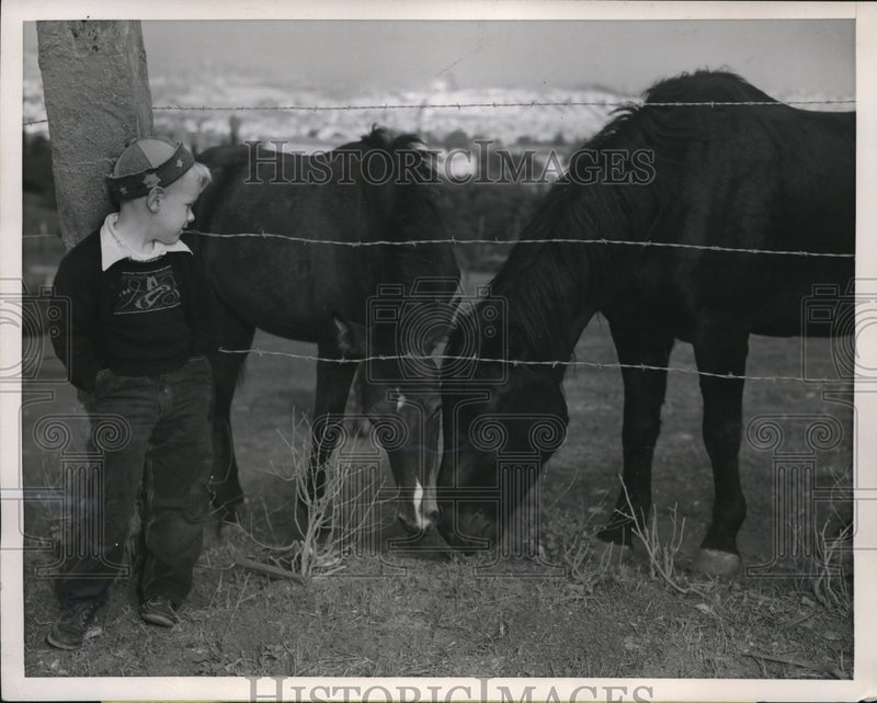 Load image into Gallery viewer, 1951 Media Photo Johnny Mikulin watches a filly and her stallion enjoy weather
