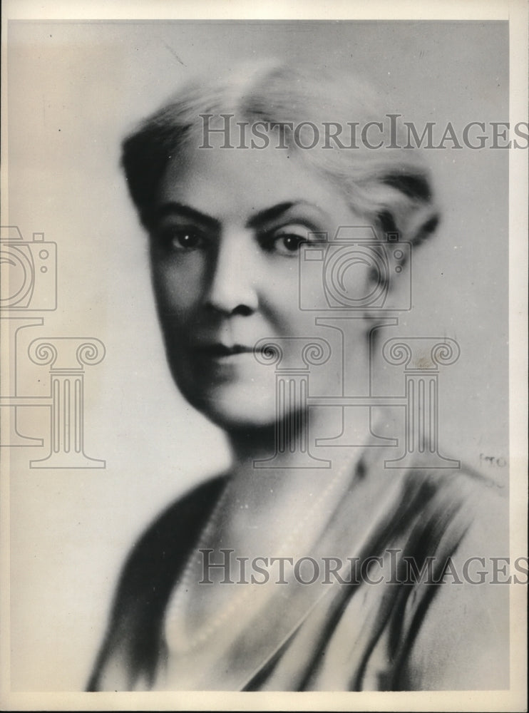 1931 Media Photo Wash DC Mrs John S Stevems chair of NY Prohibition reform