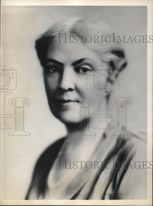 1931 Media Photo Wash DC Mrs John S Stevems chair of NY Prohibition reform