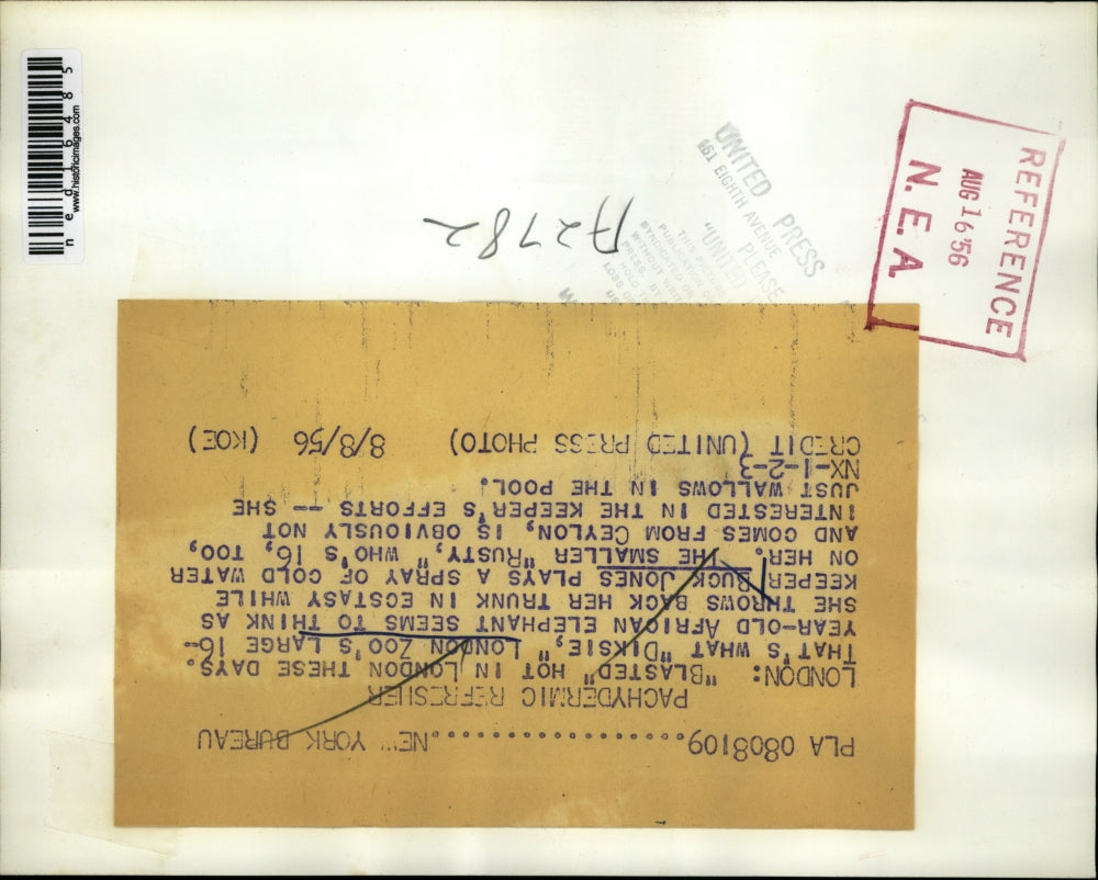 1956 Media Photo London Zoo Buck Jones spraying elephant