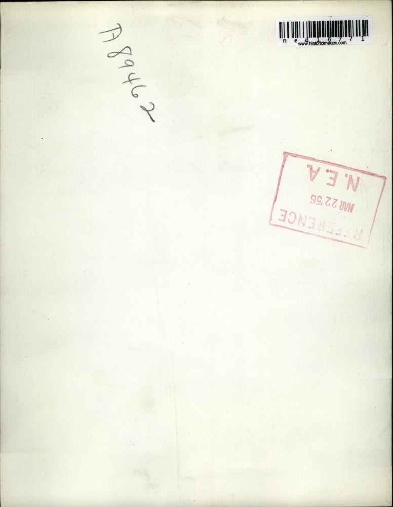 1956 Press Photo Boston Ch Wilber White Swan that won at Westminster was Best