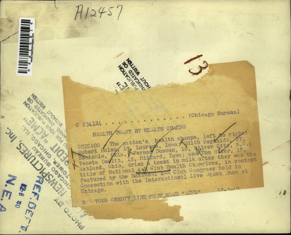 1940 Press Photo Chicago 4-H Clubs R Holen, E Reynolds,V Duncan